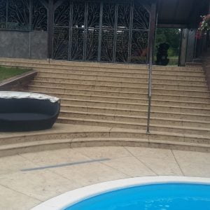 60451372 2355421181183209 4959856988226846720 n