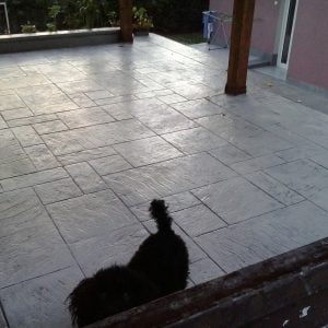 70420619 2574461692612489 2439942088742141952 n