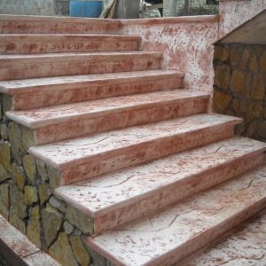 76084 129034623821887 2027478 n