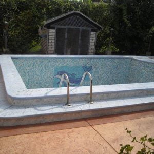 943575 558336450891700 1546415570 n